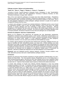 Proceedings VII World Avocado Congress 2011 (Actas VII Congreso Mundial... Cairns, Australia. 5 – 9 September 2011