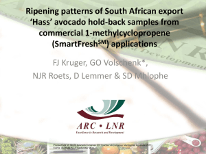 Ripening patterns of South African export ‘Hass’ avocado hold-back samples from