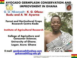 AVOCADO GERMPLASM CONSERVATION AND IMPROVEMENT IN GHANA G. O. Nkansah*, K. G. Ofosu-