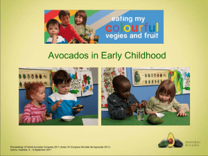 Avocados in Early Childhood