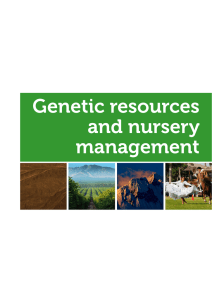Genetic resources and nursery management