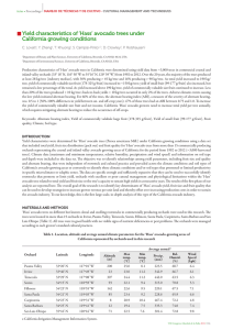 Yield characteristics of ‘Hass’ avocado trees under California growing conditions C. Lovatt