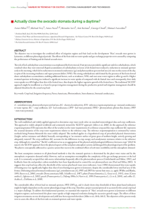 Actually close the avocado stomata during a daytime?