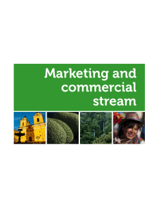 Marketing and commercial stream