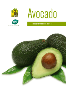 Avocado I N D U STRY R E PO RT 0...