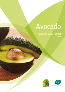 Avocado INDUSTRY ANNUAL REPORT 2011