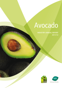 Avocado INDUSTRY ANNUAL REPORT 2011/12