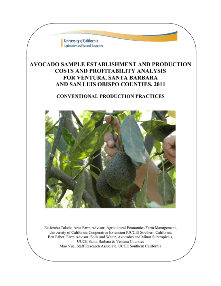 avocado oil production business plan