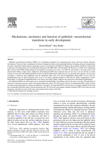 Mechanisms, mechanics and function of epithelial – mesenchymal