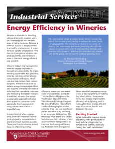 Energy Efficiency in Wineries Industrial Services