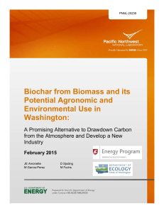 Biochar from Biomass and its Potential Agronomic and Environmental Use in Washington: