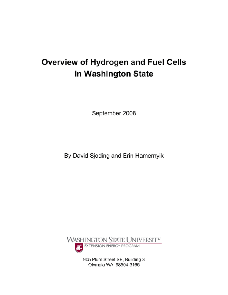 Overview of Hydrogen and Fuel Cells in Washington State September 2008