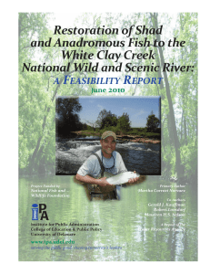 Restoration of Shad and Anadromous Fish to the White Clay Creek