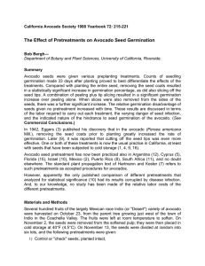 The Effect of Pretreatments on Avocado Seed Germination