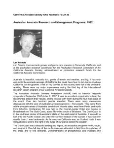 Australian Avocado Research and Management Programs: 1992
