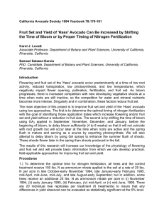 Fruit Set and Yield of 'Hass' Avocado Can Be Increased... the Time of Bloom or by Proper Timing of Nitrogen...