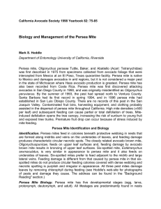Biology and Management of the Persea Mite