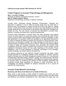 Further Progress on Avocado Thrips Biology and Management