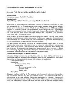 Avocado Fruit Abnormalities and Defects Revisited