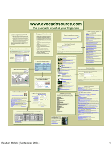 www.avocadosource.com the avocado world at your fingertips