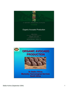 ORGANIC AVOCADO PRODUCTION Organic Avocado Production Dr Stefan