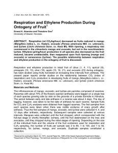 Respiration and Ethylene Production During Ontogeny of Fruit  1