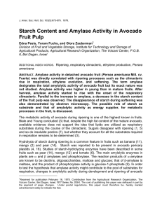 Starch Content and Amylase Activity in Avocado Fruit Pulp