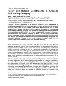 Pectin and Related Constituents in Avocado Fruit during Ontogeny  1
