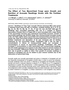 The Effect of Two Mycorrhizal Fungi upon Growth and