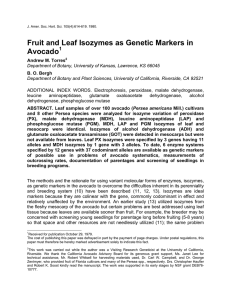 Fruit and Leaf Isozymes as Genetic Markers in Avocado 1