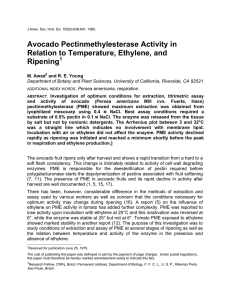 Avocado Pectinmethylesterase Activity in Relation to Temperature, Ethylene, and Ripening
