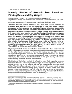 Maturity Studies of Avocado Fruit Based on