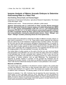 Isozyme Analysis of Mature Avocado Embryos to Determine