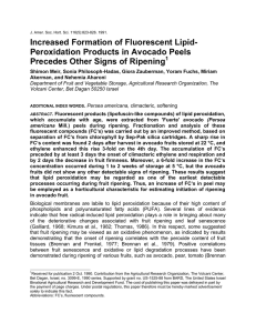 Increased Formation of Fluorescent Lipid- Peroxidation Products in Avocado Peels