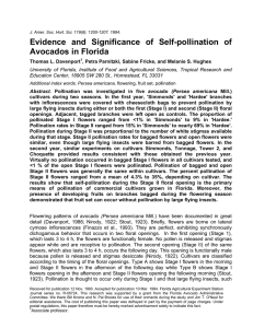 Evidence and Significance of Self-pollination of Avocados in Florida