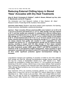 Reducing External Chilling Injury in Stored