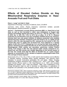 Effects of Elevated Carbon Dioxide on Key Mitochondrial Respiratory Enzymes in Hass’