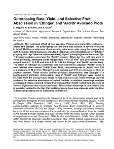 Outcrossing Rate, Yield, and Selective Fruit