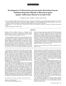 Colletotrichum gloeosporioides Mediated Integration Mutants as Biocontrol Agents