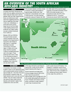 AN OVERVIEW OF THE SOUTH AFRICAN AVOCADO INDUSTRY