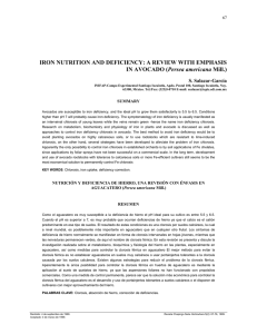 IRON NUTRITION AND DEFICIENCY: A REVIEW WITH EMPHASIS Persea americana  S. Salazar-García