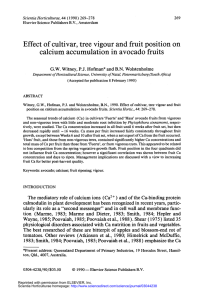 Effect  of cultivar,  tree  vigour  and ... calcium  accumulation  in  avocado  fruits