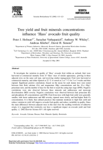 Tree yield and fruit minerals concentrations in¯uence `Hass' avocado fruit quality