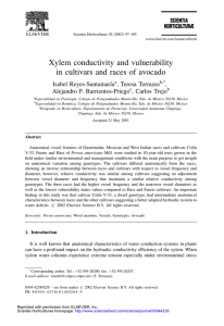 Xylem conductivity and vulnerability in cultivars and races of avocado Isabel Reyes-SantamarõÂa
