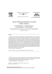 Factors affecting maturation of avocado somatic embryos R. Perán-Quesada , C. Sánchez-Romero
