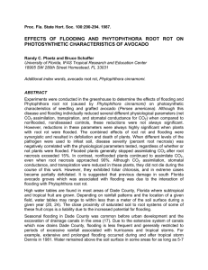 EFFECTS OF FLOODING AND PHYTOPHTHORA ROOT ROT ON