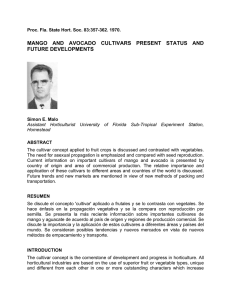 MANGO AND AVOCADO CULTIVARS PRESENT STATUS AND FUTURE DEVELOPMENTS