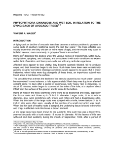 PHYTOPHTHORA CINNAMOMI AND WET SOIL IN RELATION TO THE