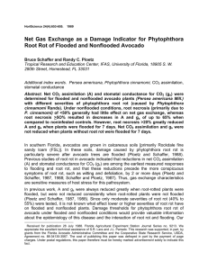 Net Gas Exchange as a Damage Indicator for Phytophthora