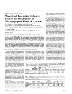 Mycorrhizal Inoculation Enhances